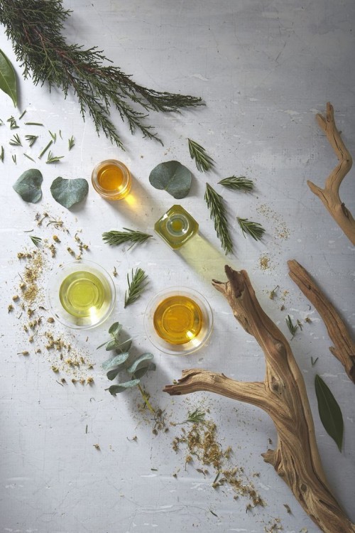 Aromaterapinin Faydaları